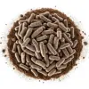 Soil Microbes